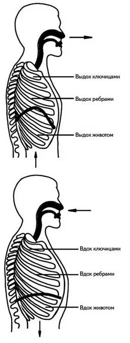 Рис 120 Полное дыхание Для начала нужно принять удобную расслабленную позу - фото 125