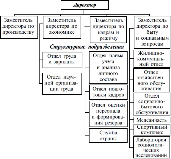 Рис 8 Традиционная схема организационной структуры управления социальными - фото 18