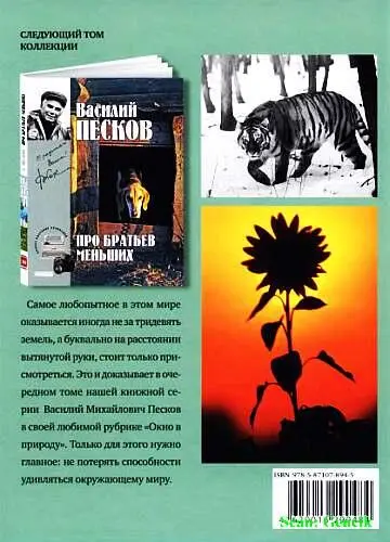 Полное собрание сочинений Том 18 Посиделки на закате - фото 97