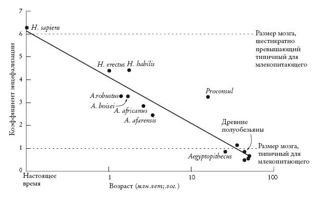 График изменения во времени коэффициента энцефализации EQ для различных - фото 5
