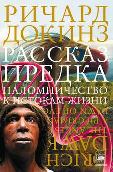 Ричард Докинз - Рассказ предка. Паломничество к истокам жизни