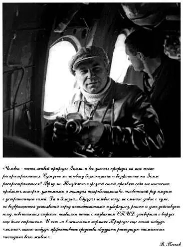 1994начало в т18 Камешек в клюве Окно в природу В ловушку или капкан - фото 3