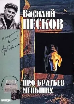 Василий Песков - Полное собрание сочинений. Том 19. Про братьев меньших