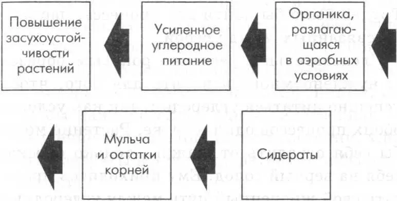 К А Тимирязев установил связь двух первых звеньев цепочки Он говорил - фото 2