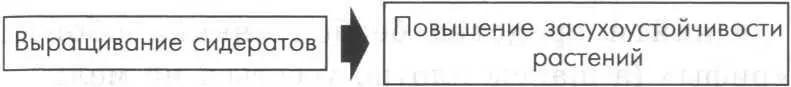Иначе говоря выращивание сидератов является своеобразным поливом А - фото 3