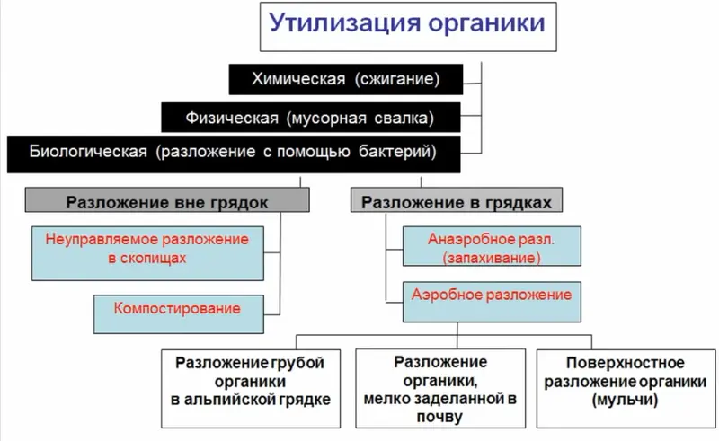 Рис 9 Способы утилизации органики 1 В костер органику и баста К сожалению - фото 32