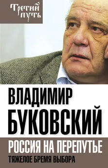 Владимир Буковский - На краю. Тяжелый выбор России