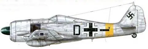 Fw 190G3 из IISG 4 КёльнВан Германия зима 19441945 гг Камуфляжная - фото 165