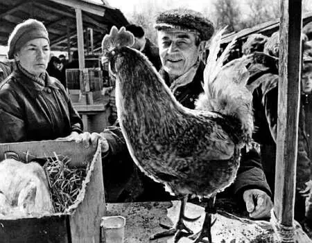 На Птичке Это были две обычные точки зренья на все живое Но тут на Птичке - фото 68
