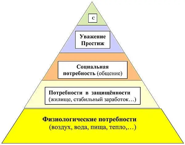 Пирамида составлена таким образом что предполагает формирование потребностей - фото 100