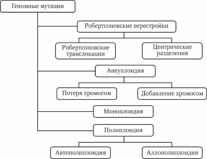 Рис 54 Геномные мутации Рис 55 Генетическая карта хромосомы Частота - фото 12