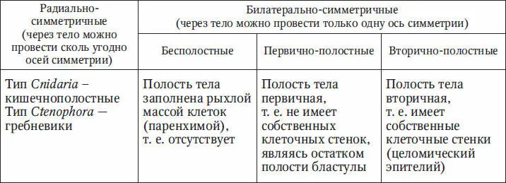 Целомические животные делятся на две большие группы в зависимости от - фото 27
