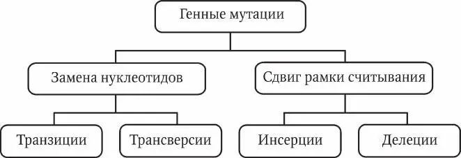 Рис 51 Генные мутации Механизм возникновения генных мутаций наиболее - фото 17