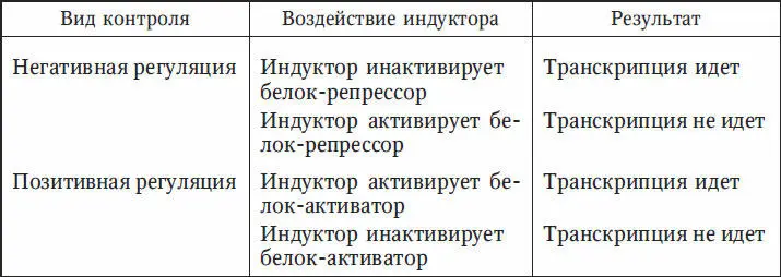 Один и тот же регуляторный белок может быть репрессором для гена А и - фото 33