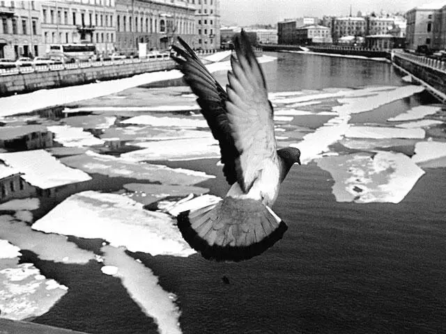 Фото Павла Маркина Биржа на Стрелке На Стрелке Васильевского больше всего мне - фото 8