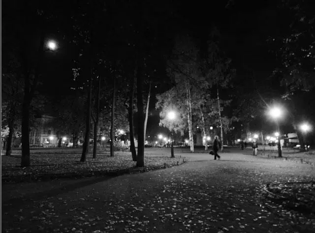 Фото Галины Зерниной Трудности перевода В конце лета в кафе на Невском сидел - фото 23