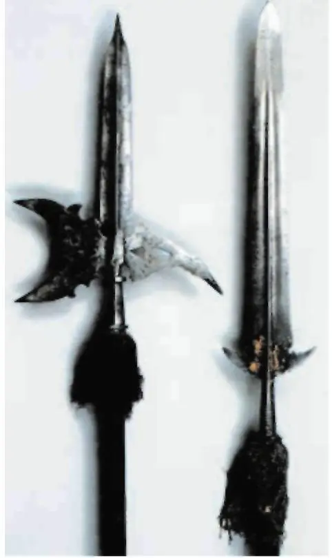 Холодное оружие алебарда и протазан Весной 1606 г в Москву из Польши прибыла - фото 26