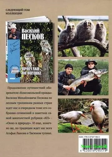 Полное собрание сочинений Том 21 Мир на ладони - фото 102