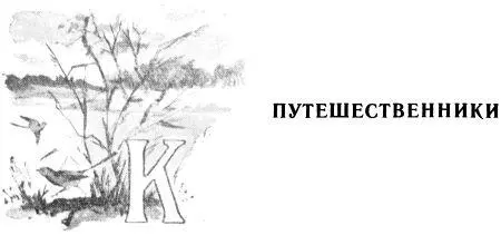 Както раз мы забрели с Севой далеко вверх по реке Переночевали с рыбаками у - фото 8