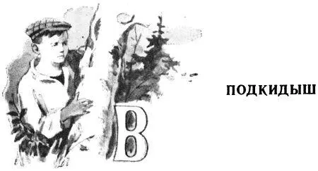 Весной все птицы строят себе гнёзда И только кукушки не знают никакой заботы - фото 18