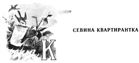 Когда Сева был ещё совсем небольшой мы купили ему валенки Но так как он уже в - фото 24