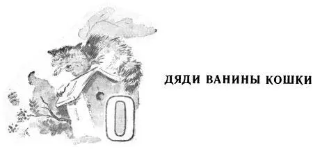 Осенью мы пришли к дяде Ване за саженцами Сад его уже оголился и только - фото 33