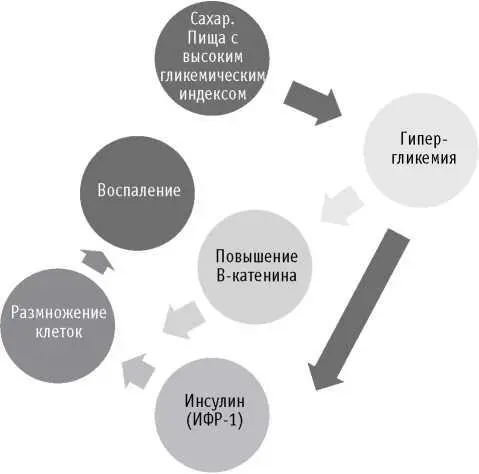 ВАЖНОГипергликемия повышенный уровень сахара в крови вызывается потреблением - фото 9