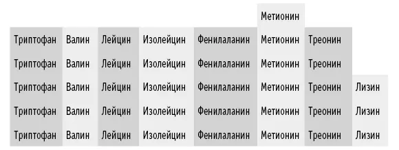 Бобовые обладают всеми аминокислотами но одна из них лимитирующая аминокислота - фото 31