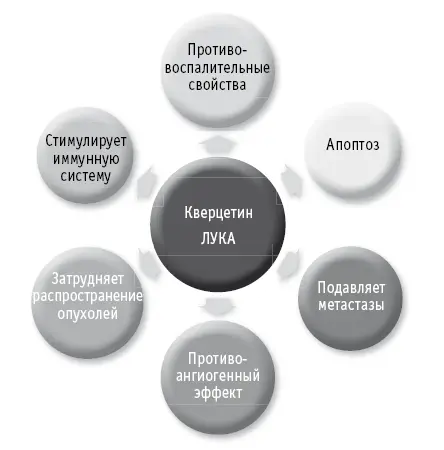 Прочие свойства Кроме противоопухолевых свойств возникающих от большого - фото 63