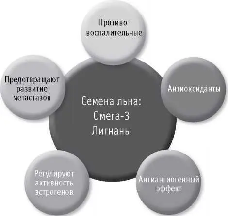 Ежедневное потребление 30 г льняного семени пациентами с раком простаты может - фото 71