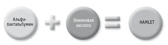 HAMLET не был обнаружен в молоке животных похоже это соединение присуще лишь - фото 74