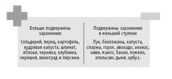 Как готовить противораковые продукты Мы знаем какие продукты должны включить - фото 84
