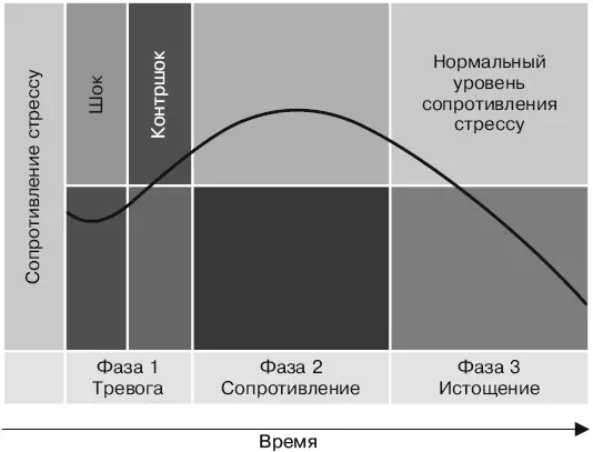 Для каждой стадии описаны характерные изменения происходящие в вегетативной - фото 16