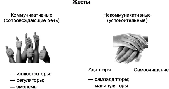 Понимая что жестыэмблемы являются протоязыком и передаются из поколения в - фото 28