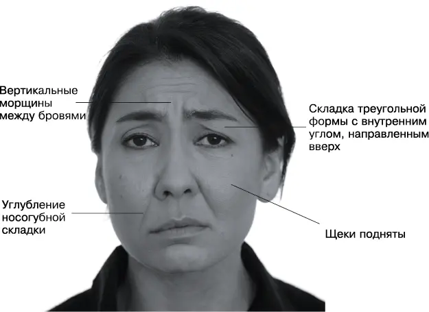 Причина невосполнимая утрата значимого критерия Аналоги грусть тоска - фото 31