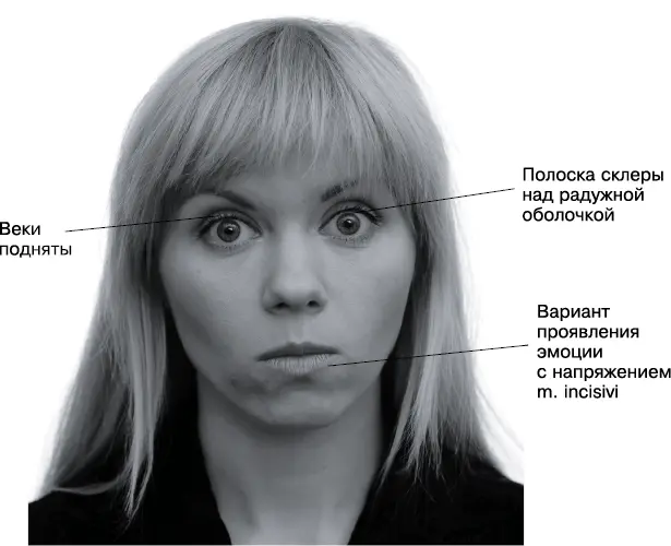 Причина факты не соответствующие модели мира Аналоги потрясение интерес - фото 35