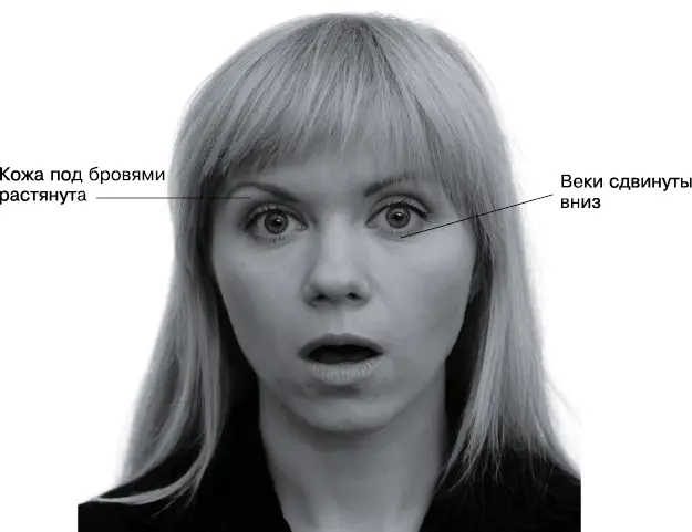 Причина факты не соответствующие модели мира Аналоги потрясение интерес - фото 36