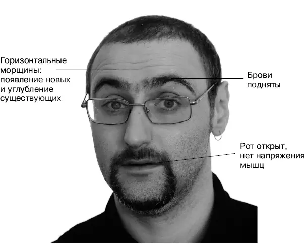 Причина факты не соответствующие модели мира Аналоги потрясение интерес - фото 37
