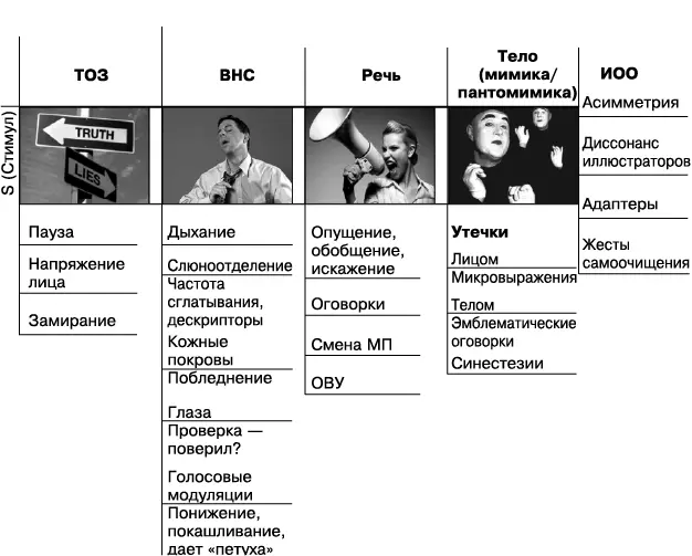Невербальные признаки не только фиксируются но и распределяются на основные и - фото 62