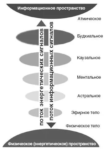 Впоследствии когда кроме родительского опыта появляется еще какойто - фото 4