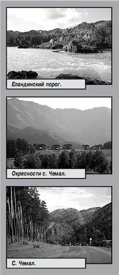 Ближе к Катуни вам откроется великолепный вид впадения р Чемал в КатуньВоды - фото 15