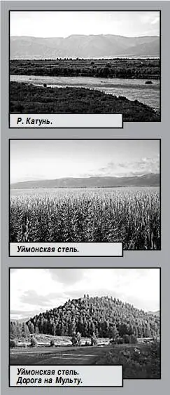 Первыми альпинистами ступившими на вершину Белухи были сибирякиученые - фото 17