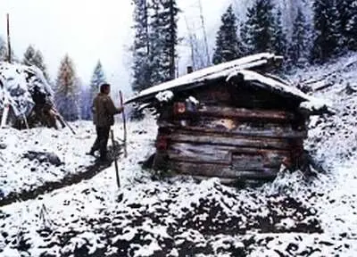 Старая избушка Теперь подсобная Нехитрый скарб и инструменты Лыковых - фото 15