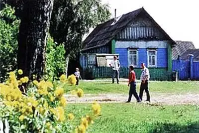 Пока что живое местечко в Осинке Полбеды была бы Осинка исключением в - фото 28