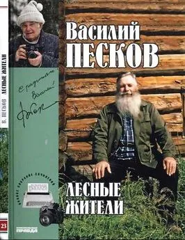 Василий Песков - Полное собрание сочинений. Том 23. Лесные жители