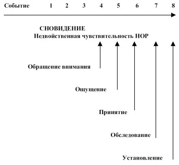 В АБХИДХАММЕ На стадиях 917 Я наблюдает Иными словами вы не полностью - фото 10