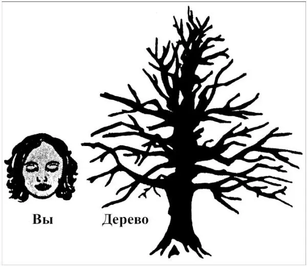 В психологии ОР вы проецируете чтолибо на дерево Однако с другой более - фото 56