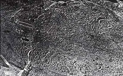Кладбище викингов в Северной Ютландии Могильник на мысе Токмак Мысли - фото 74