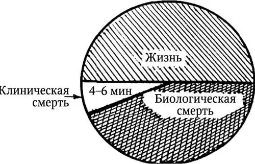 Рис 55 Период перехода клинической смерти в биологическую 3 Появление - фото 64