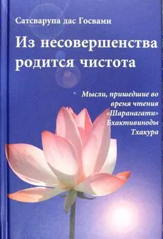 Сатсварупа Даса Госвами - Из несовершенства возникнет чистота